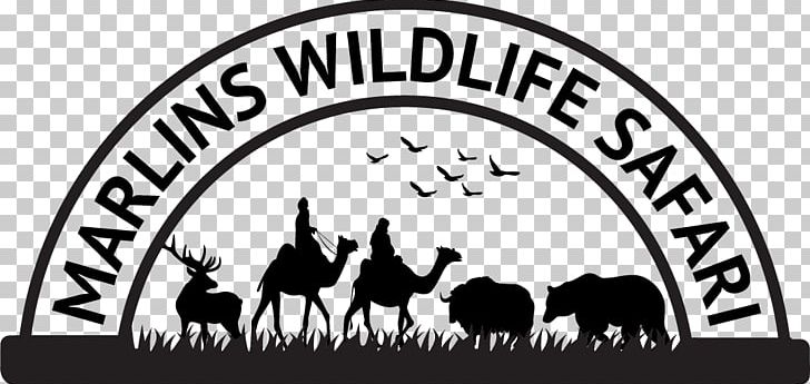 Marlins Wildlife Safari Logo Recreation Horse Petting Zoo PNG, Clipart, Area, Black, Black And White, Brand, Camel Logo Free PNG Download