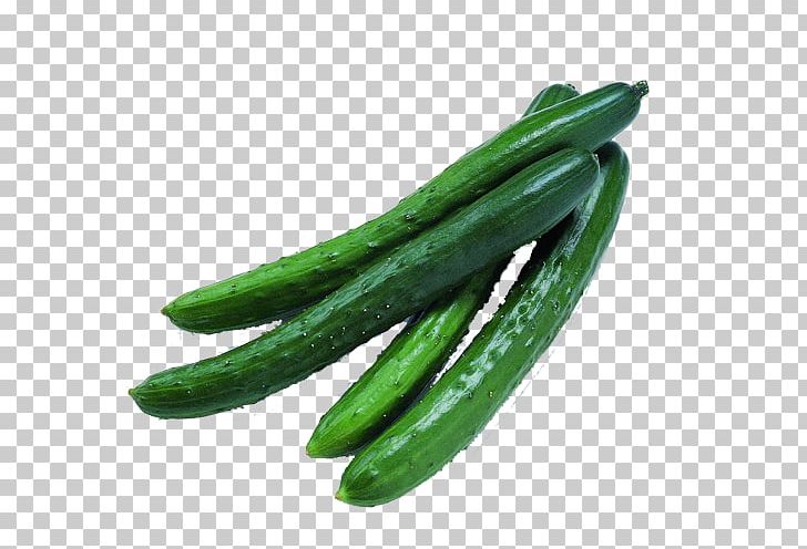 Pickled Cucumber Vegetable PNG, Clipart, Arch, Brined Pickles, Cucumber, Cucumber Gourd And Melon Family, Cucumber Juice Free PNG Download