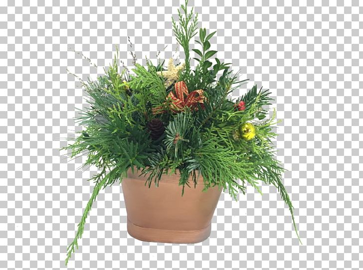 Houseplant Garden Flowerpot Centrepiece Lawn PNG, Clipart, Cedar, Centrepiece, Flower, Flowerpot, Flyer Free PNG Download