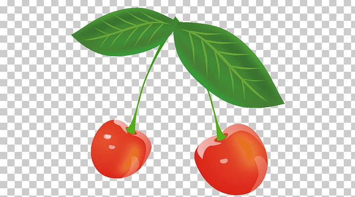 Cherry Food Fruit PNG, Clipart, Art, Cherry, Coloring Book, Download, Food Free PNG Download