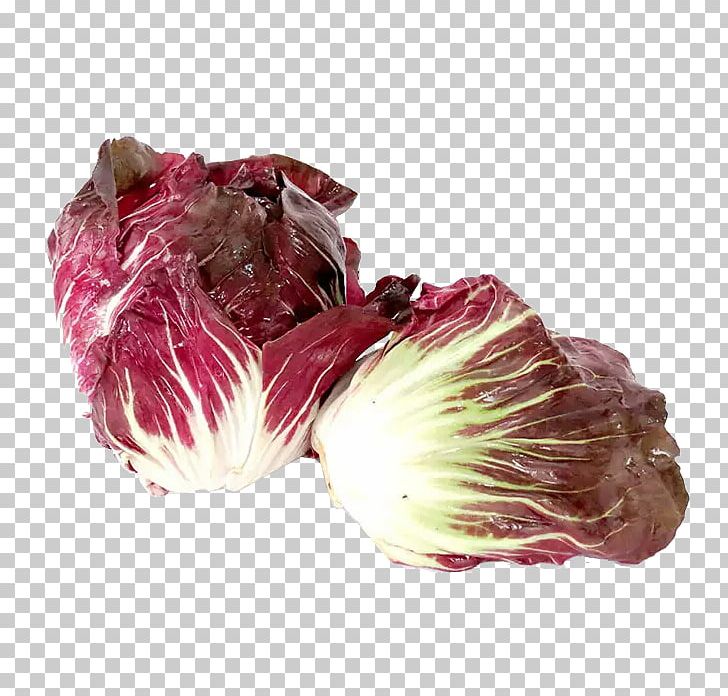 Chicory Cabbage Vegetable Kale Pao Cai PNG, Clipart, Banana Leaves, Brassica Oleracea, Cut, Cut Cabbage, Earth Free PNG Download