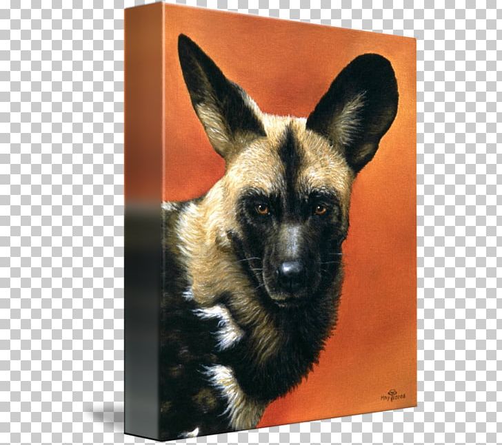 Dog Breed African Wild Dog German Shepherd Dhole Animal PNG, Clipart, African Wild Dog, Animal, Breed, Carnivora, Carnivoran Free PNG Download