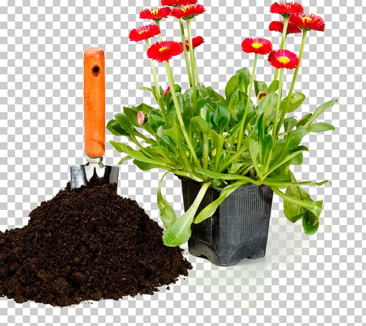 Flowerpot Window Box Potting Soil Stock Photography PNG, Clipart, Container Garden, Flower, Flowerpot, Garden, Herb Free PNG Download