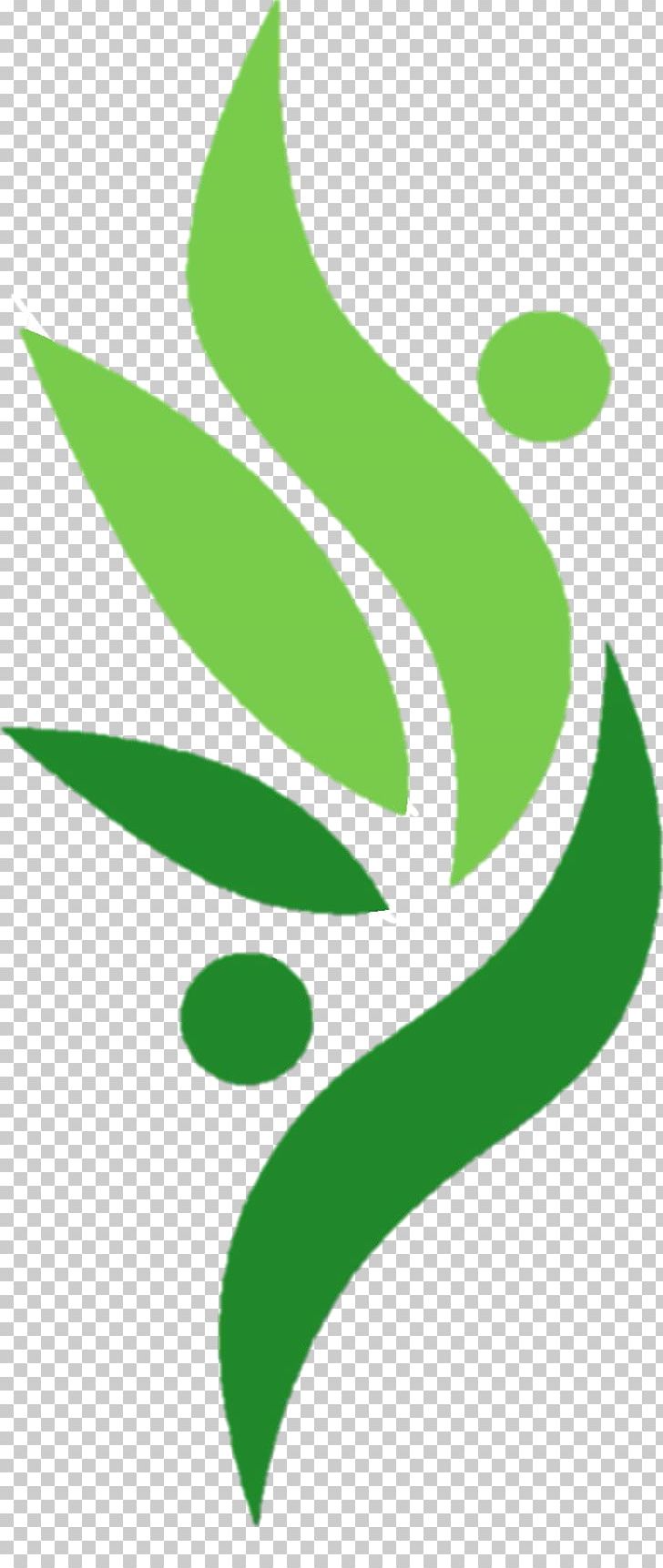 Leaf Green Plant Stem Flower PNG, Clipart, Aerial Yoga, Flora, Flower, Grass, Green Free PNG Download