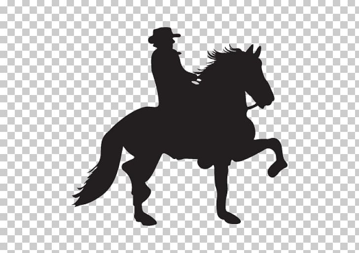 Paso Fino Peruvian Paso Costa Rican Saddle Horse Cdr PNG, Clipart, Black And White, Bridle, Cdr, Encapsulated Postscript, English Riding Free PNG Download