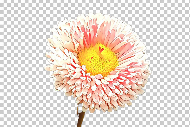Flower Petal Plant Gerbera Yellow PNG, Clipart, China Aster, Cut Flowers, Flower, Gerbera, Petal Free PNG Download