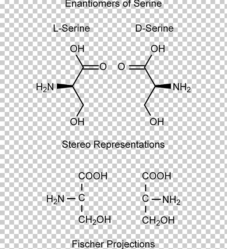Enantiomer Serine Stereochemistry Amino Acid PNG, Clipart, Acid, Amino Acid, Angle, Area, Black And White Free PNG Download