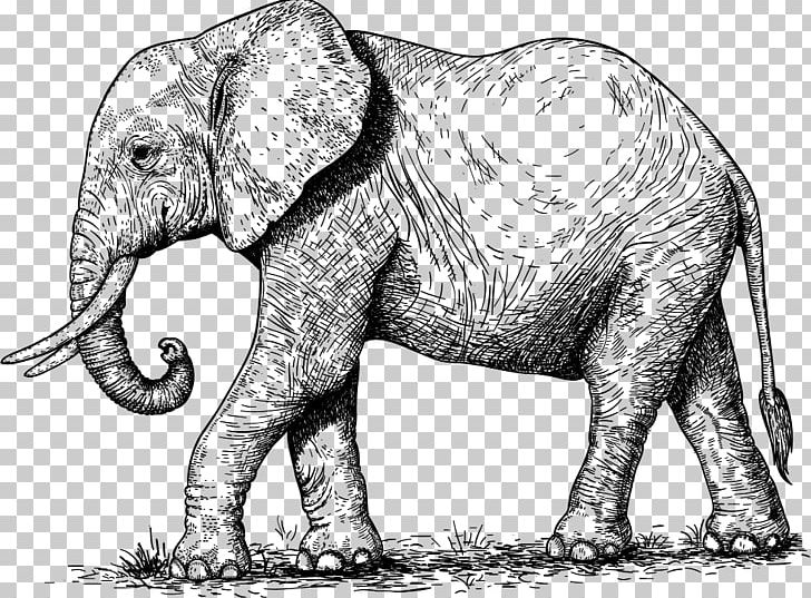 Stock Photography Elephant PNG, Clipart, African Elephant, Animal Figure, Animals, Black And White, Depositphotos Free PNG Download