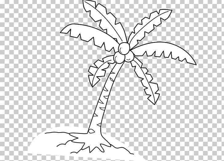 Coloring Book Coconut Arecaceae Tree Drawing PNG, Clipart, Area, Arecaceae, Black And White, Branch, Coconut Free PNG Download