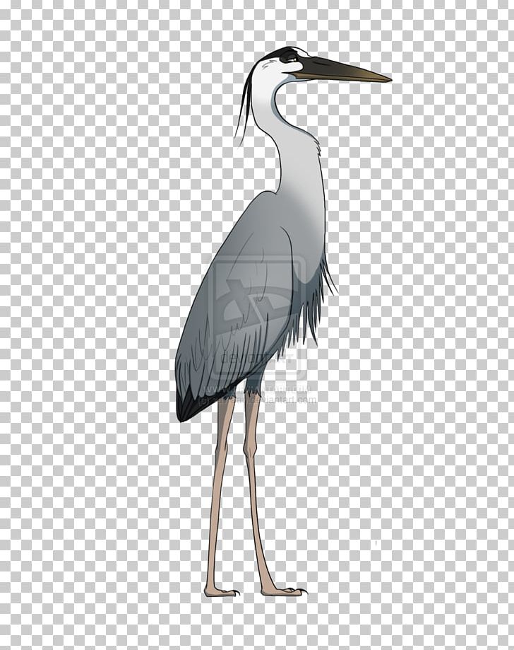 Great Blue Heron Crane Stork Drawing PNG, Clipart, Beak, Bird, Black Heron, Ciconiiformes, Crane Free PNG Download