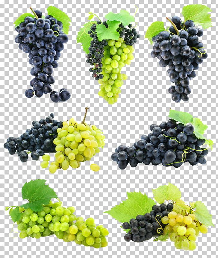 Kyoho Grape Seed Fruit Tree Jabuticaba PNG, Clipart, Bonsai, Common Grape Vine, Flowering Plant, Food, Fruit Free PNG Download