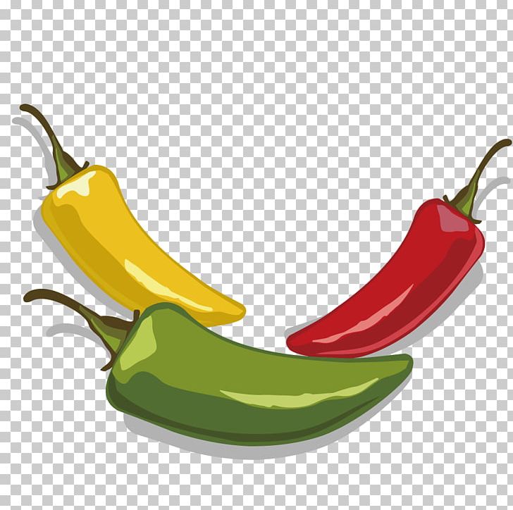 Serrano Pepper Jalapexf1o Tabasco Pepper PNG, Clipart, Adobe Illustrator, Chili Pepper, Food, Fruit, Fruits And Vegetables Free PNG Download