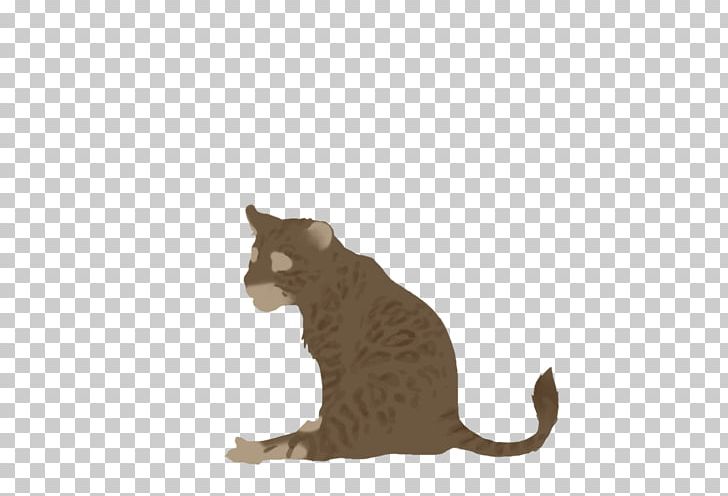 Whiskers Kitten Domestic Short-haired Cat Fauna PNG, Clipart, Animals, Carnivoran, Cat, Cat Like Mammal, Domestic Short Haired Cat Free PNG Download