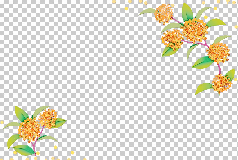 Floral Design PNG, Clipart, Computer, Floral Design, Insect, Leaf, M Free PNG Download