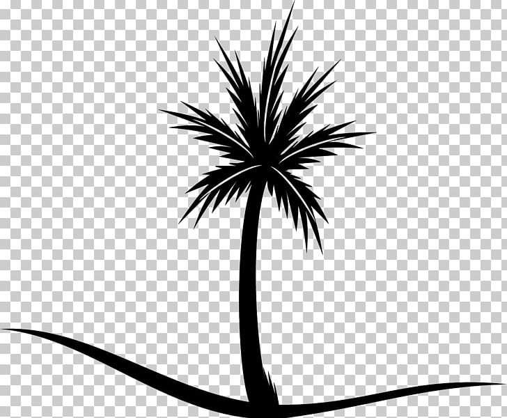 Asian Palmyra Palm Palm Trees Coconut PNG, Clipart, Arecales, Artwork, Asian Palmyra Palm, Black, Black And White Free PNG Download