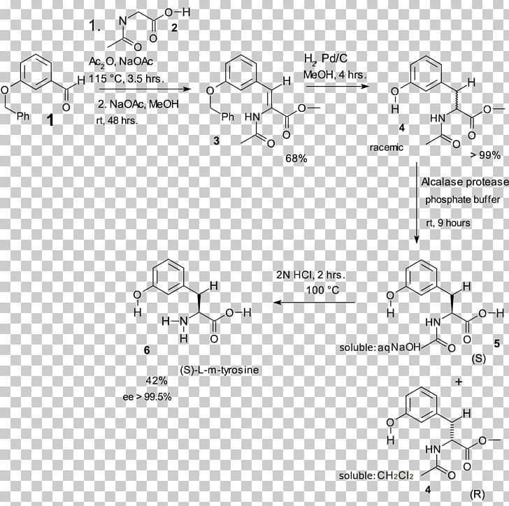 Erlenmeyer–Plöchl Azlactone And Amino-acid Synthesis Amino Acid Chemical Synthesis Phenylalanine Condensation Reaction PNG, Clipart, Acid, Amino Acid, Amino Acid Synthesis, Angle, Area Free PNG Download