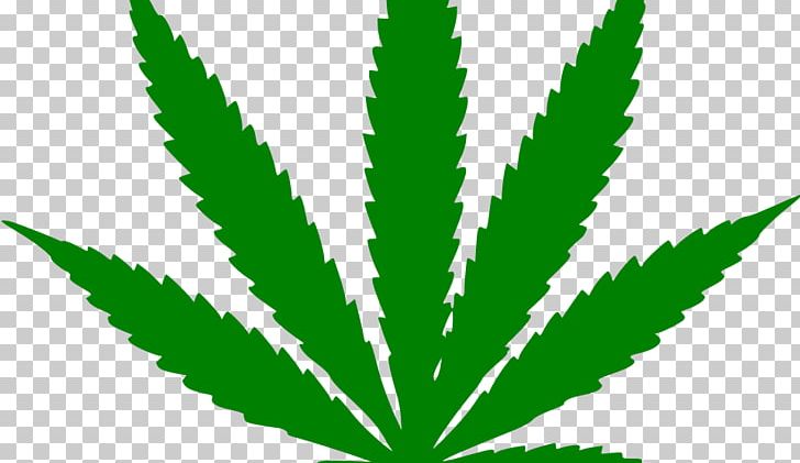 Hash PNG, Clipart, 420 Day, Cannabis, Cannabis Sativa, Cannabis Shop, Dispensary Free PNG Download