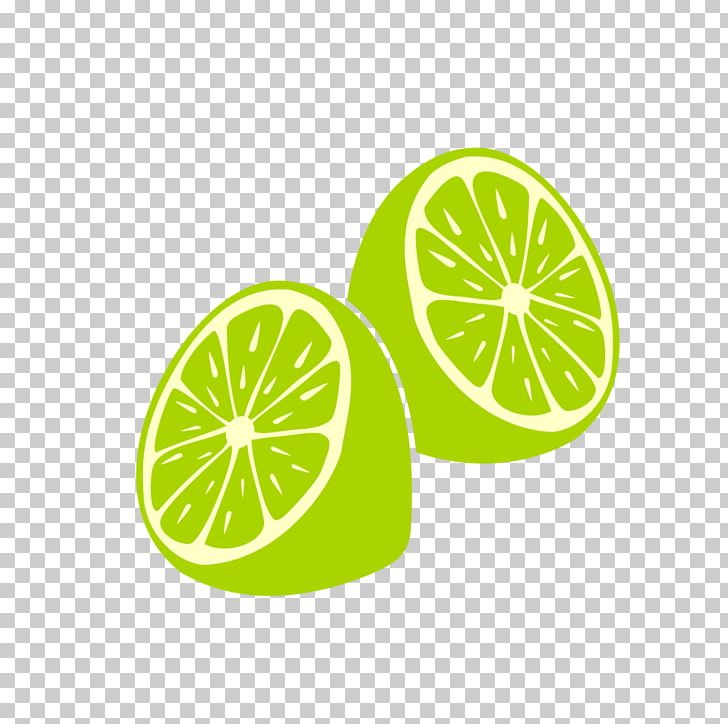 Key Lime Sweet Lemon Persian Lime PNG, Clipart, Circle, Citric Acid, Citron, Citrus, Citrus Junos Free PNG Download