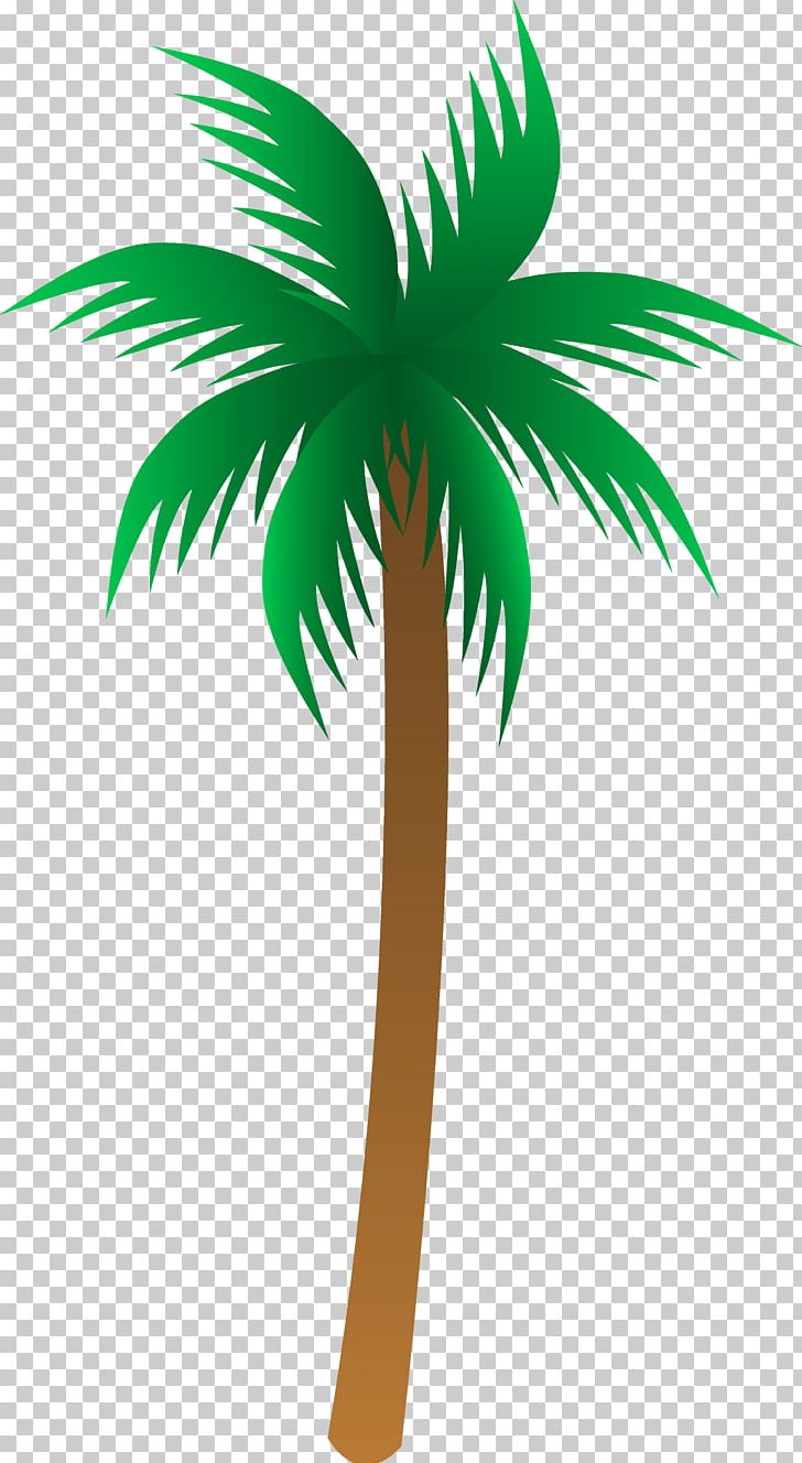 Palm Tree PNG, Clipart, Palm Tree Free PNG Download