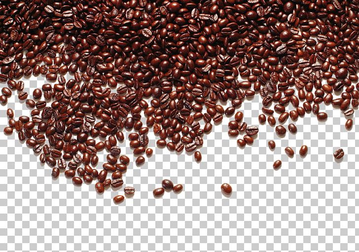 Bourbon Coffee Caffxe8 Mocha Irgachefe PNG, Clipart, Arabica Coffee, Azuki Bean, Bean, Beans, Cafe Free PNG Download