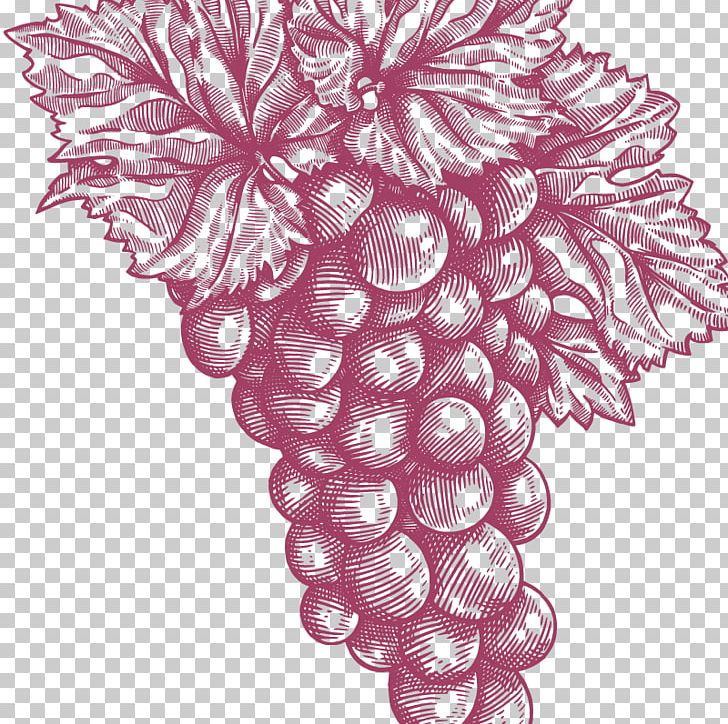 Grape Floral Design Pattern PNG, Clipart, Floral Design, Flower, Flowering Plant, Food, Fruit Free PNG Download