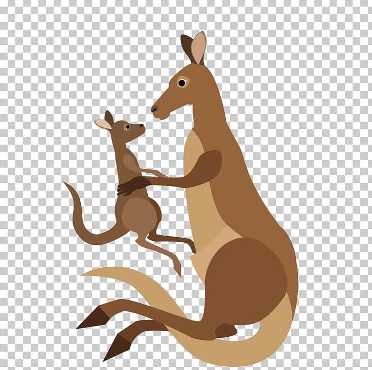 Kangaroo Cartoon Macropodidae PNG, Clipart, Animal, Animals, Animation, Balloon Cartoon, Boy Free PNG Download