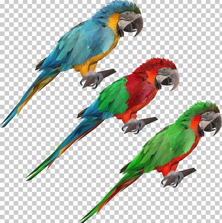 Parrot Bird Blue-and-yellow Macaw PNG, Clipart, Animal, Animals, Balloon Cartoon, Cartoon, Cartoon Arms Free PNG Download