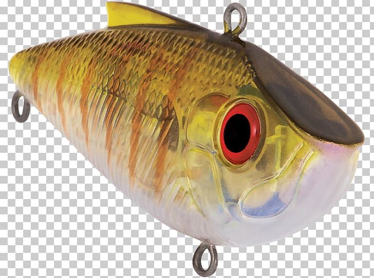 Spoon Lure Perch Fish AC Power Plugs And Sockets PNG, Clipart, Ac Power Plugs And Sockets, Bait, Bream, Fish, Fishing Bait Free PNG Download