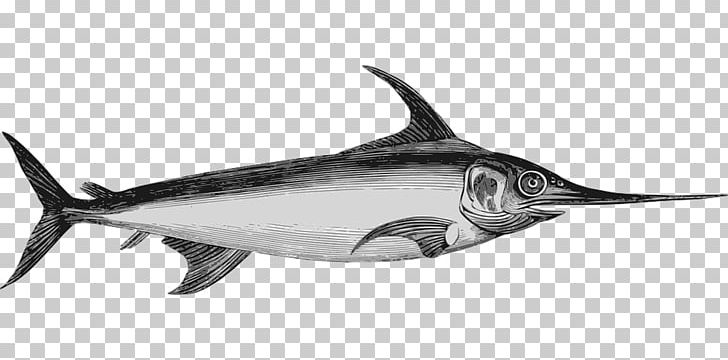 Swordfish Marlin PNG, Clipart, Animals, Atlantic Blue Marlin, Billfish, Black And White, Black Marlin Free PNG Download