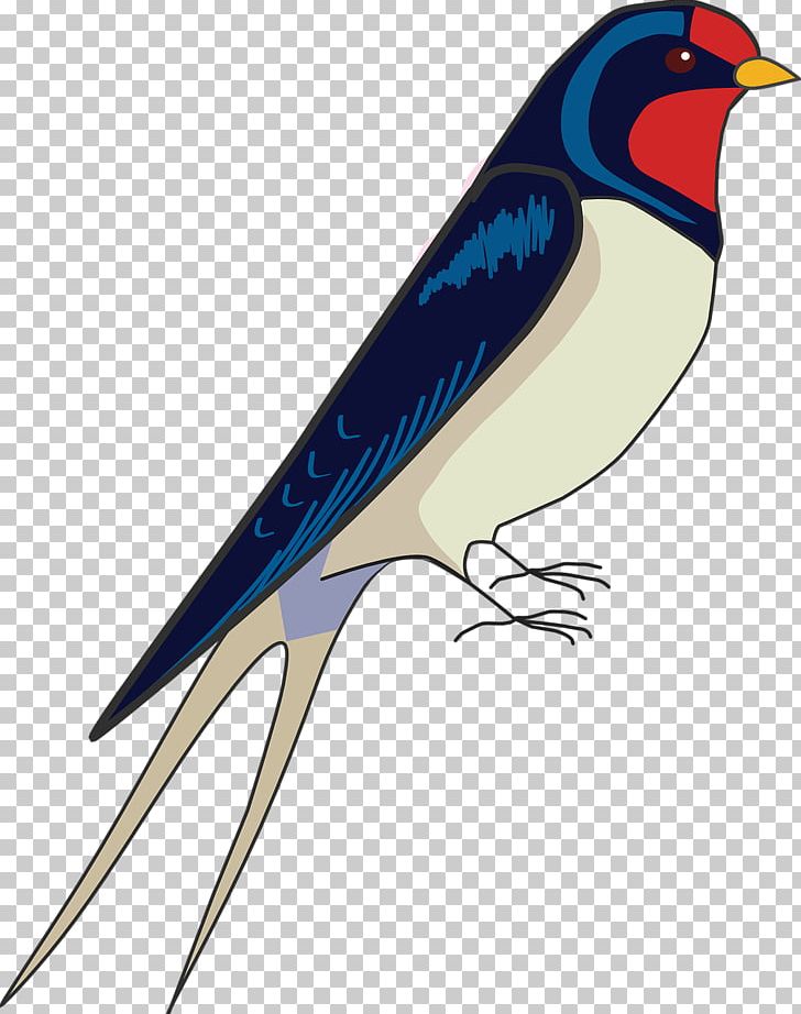 Barn Swallow Bird Drawing PNG, Clipart, Animal, Animals, Art, Barn Swallow, Beak Free PNG Download