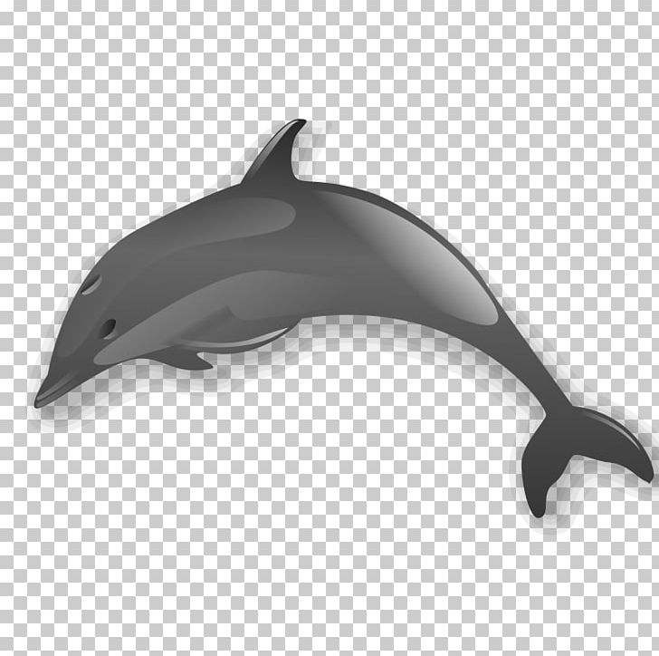 Dolphin PNG, Clipart, Automotive Design, Black, Bottlenose Dolphin, Common Bottlenose Dolphin, Computer Icons Free PNG Download