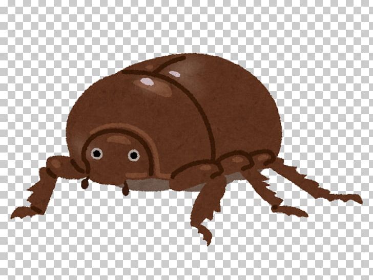 Dung Beetle Scarabs Japanese Rhinoceros Beetle Hirakata PNG, Clipart, Animal, Animal Figure, Animals, Arthropod, Beetle Free PNG Download