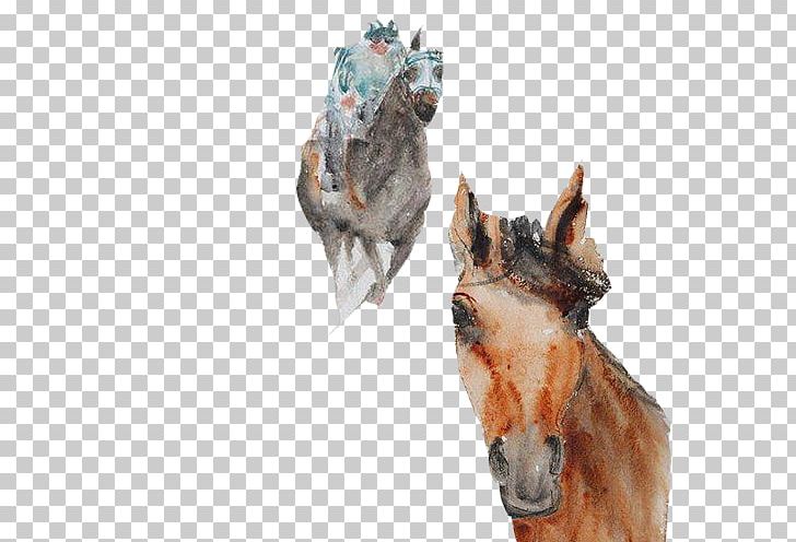 Horse Racing Equestrianism PNG, Clipart, Animals, Color, Course De Chevaux, Download, Equestria Free PNG Download