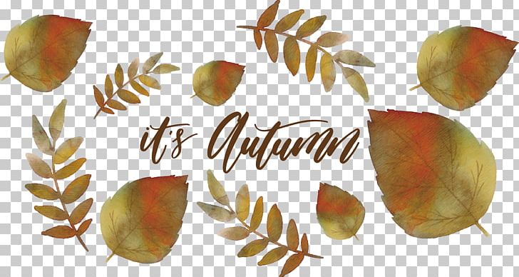 Watercolor Painting Leaf Autumn Deciduous PNG, Clipart, Artworks, Autumn, Autumn Leaves, Deciduous, Euclidean Vector Free PNG Download