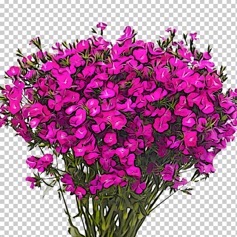 Floral Design PNG, Clipart, Annual Plant, Biology, Chrysanthemum, Cut Flowers, Floral Design Free PNG Download