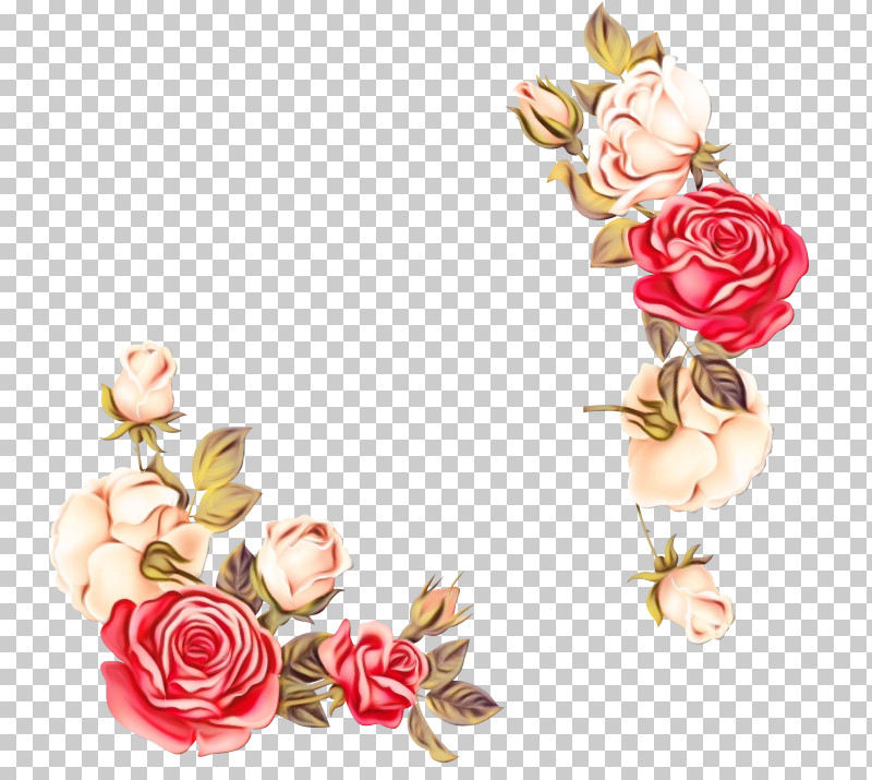 Garden Roses PNG, Clipart, Cut Flowers, Flower, Garden Roses, Paint, Pink Free PNG Download