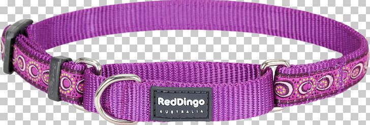 Dog Collar Martingale Dingo PNG, Clipart, Collar, Dingo, Dog, Dog Collar, Magenta Free PNG Download