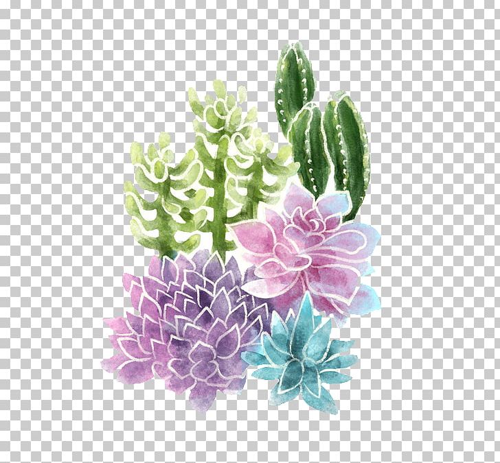 Succulent Plant Cactaceae Cacti And Succulents PNG, Clipart, Aquarium Decor, Cactaceae, Cacti And Succulents, Color, Download Free PNG Download
