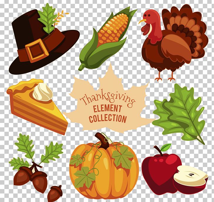 Turkey Thanksgiving PNG, Clipart, Animal, Calabaza, Christmas Decoration, Clip Art, Computer Icons Free PNG Download