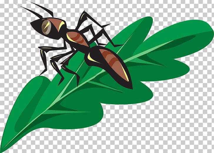 Ant Insect Portable Network Graphics Open PNG, Clipart, Animals, Ant, Ant Clipart, Computer Icons, Download Free PNG Download