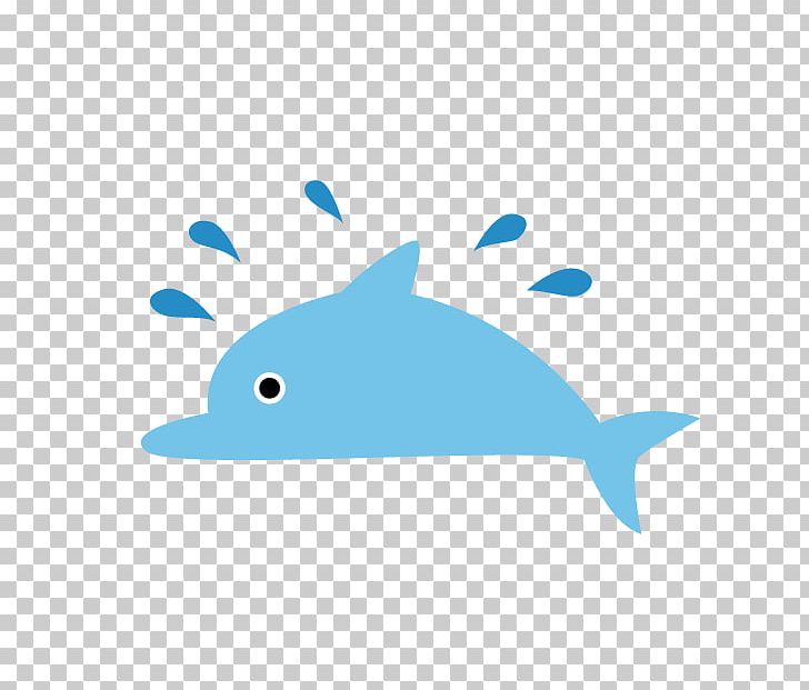 Dolphin PNG, Clipart, Animal, Animals, Area, Blue, Cartoon Dolphin Free PNG Download