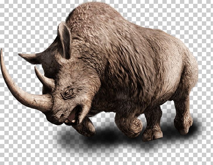 Far Cry Primal Woolly Rhinoceros PlayStation 4 Far Cry 4 PNG, Clipart, Cattle Like Mammal, Far Cry, Far Cry Primal, Fauna, Horn Free PNG Download