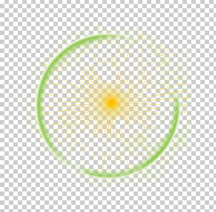 Kiwifruit Product Design PNG, Clipart, Circle, Closeup, Food, Fruit, Kiwifruit Free PNG Download