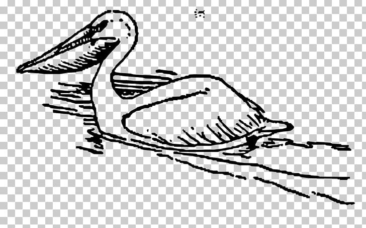 Pelican Bird PNG, Clipart, Animals, Arm, Art, Artwork, Beak Free PNG Download