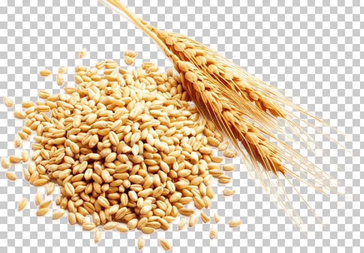 Cereal Grain Harvest PNG, Clipart, Avena, Bran, Cereal, Cereal Germ, Cereal Grain Free PNG Download