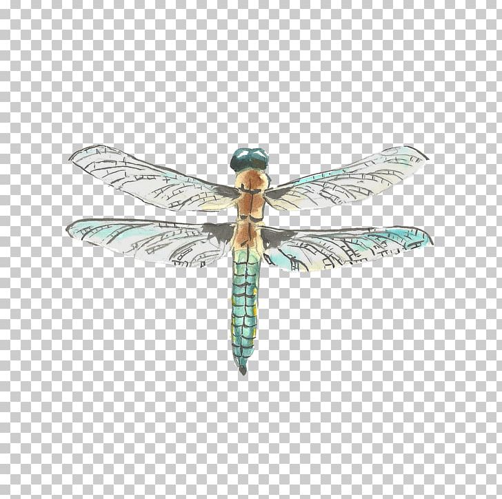 Dragonfly Watercolor Painting Drawing PNG, Clipart, Art, Arthropod, Cartoon Dragonfly, Drag, Dragonfly Wings Free PNG Download