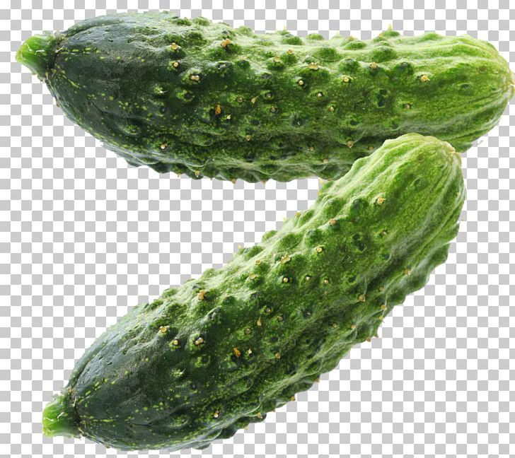 Pickled Cucumber Spreewald Gherkins Pickling Maroon Cucumber PNG, Clipart, Bell Pepper, Cucumber, Cucumber Gourd And Melon Family, Cucumis, Fermentation Free PNG Download