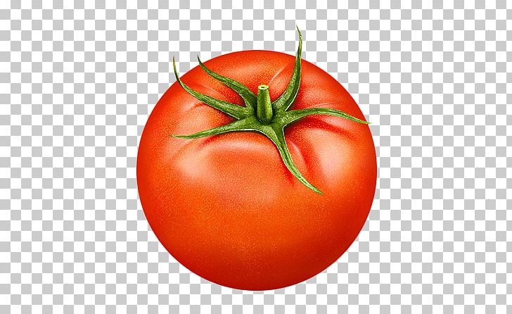 Plum Tomato Vegetable Bush Tomato PNG, Clipart, Cherry Tomato, Concepteur, Diet Food, Download, Food Free PNG Download