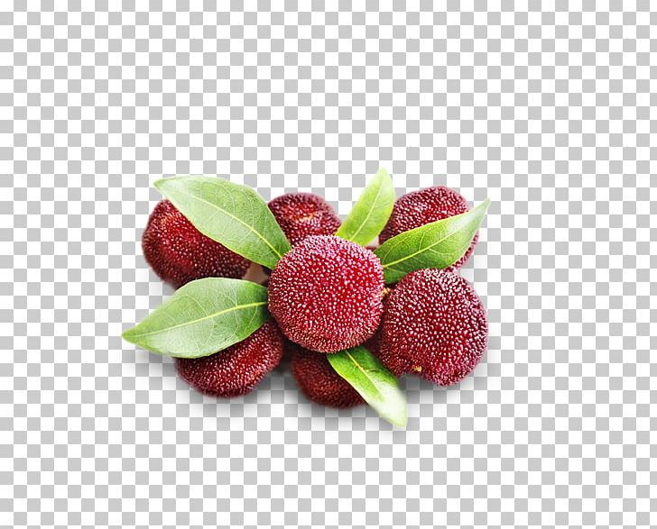 Juice Morella Rubra Fruit PNG, Clipart, Bayberry, Extract, Food, Fruit, Fruit Nut Free PNG Download