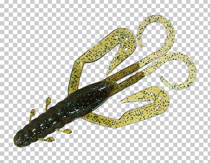 Reptile Body Jewellery Gale PNG, Clipart, Bando, Body Jewellery, Body Jewelry, Gale, Jewellery Free PNG Download